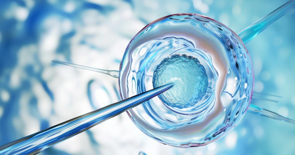 İstanbul’da IVF Süreci Adım Adım Nasıl İlerler?